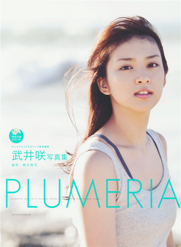 武井咲写真集《PLUMERIA》特典DVD高清完整版[780M] 日系视频-第1张